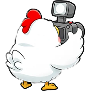 Višta su kamera – Chicken Road Race