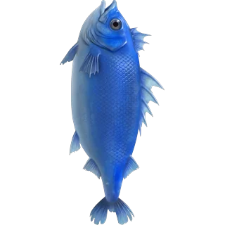 Mėlyna žuvis – Ice Fish