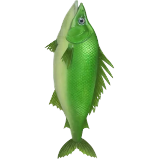 Žalia žuvis – Ice Fish