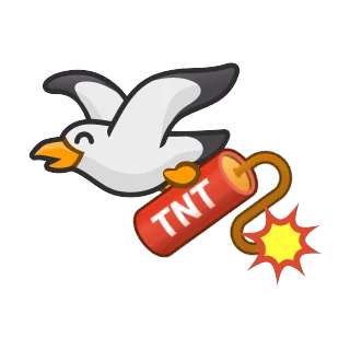 Kiras su TNT – Pengu Sport